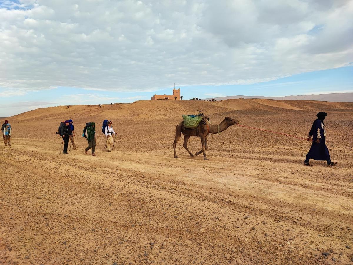 Bivouac Les Nomades & Foum Zguid To Chegaga Tours Hotel Eksteriør billede