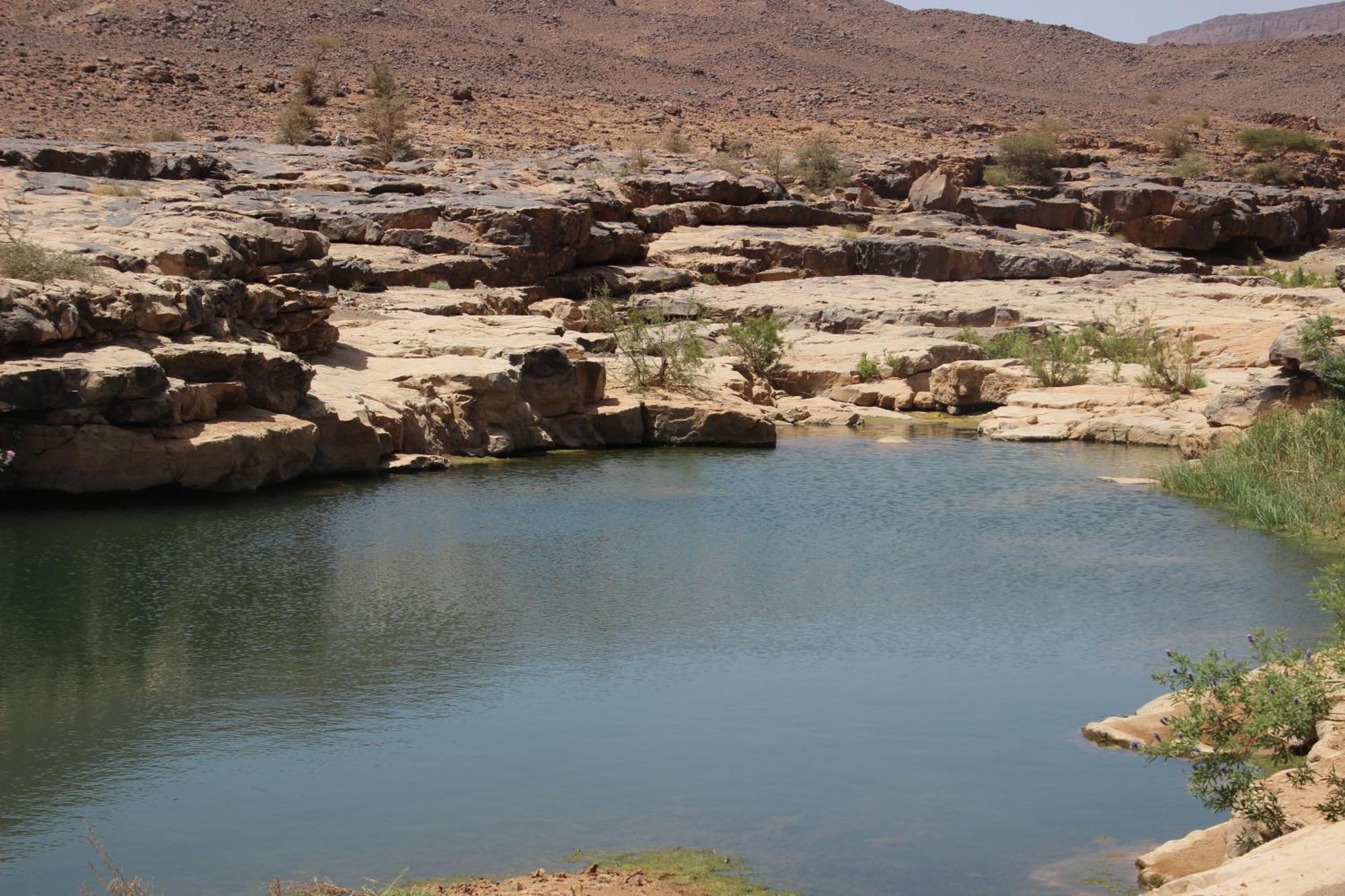 Bivouac Les Nomades & Foum Zguid To Chegaga Tours Hotel Eksteriør billede