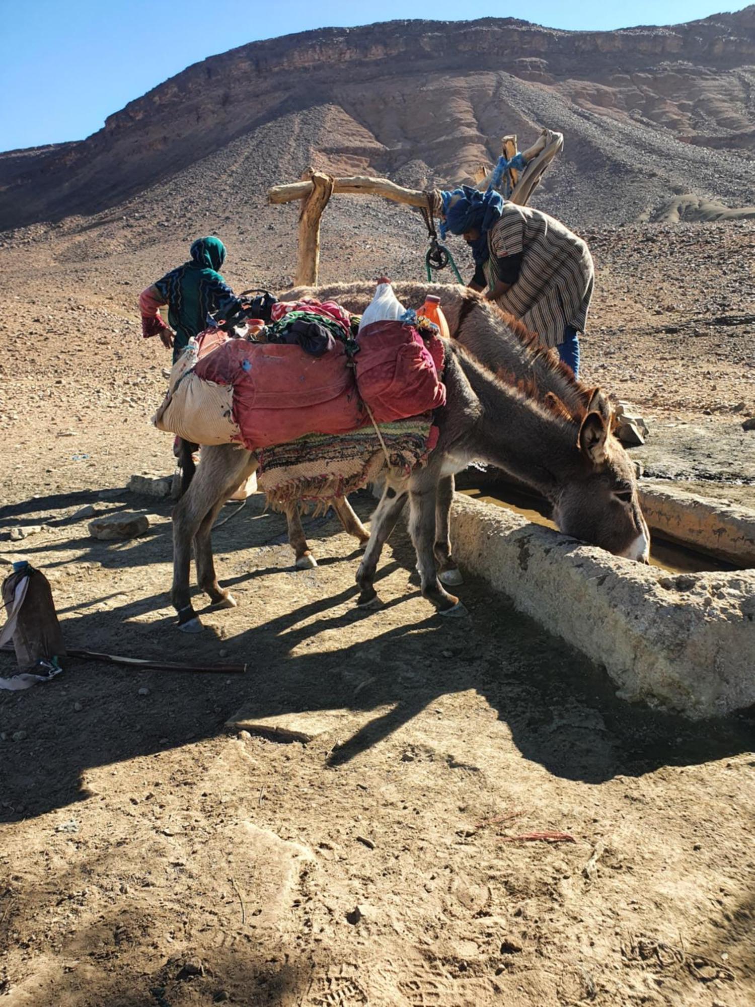 Bivouac Les Nomades & Foum Zguid To Chegaga Tours Hotel Eksteriør billede