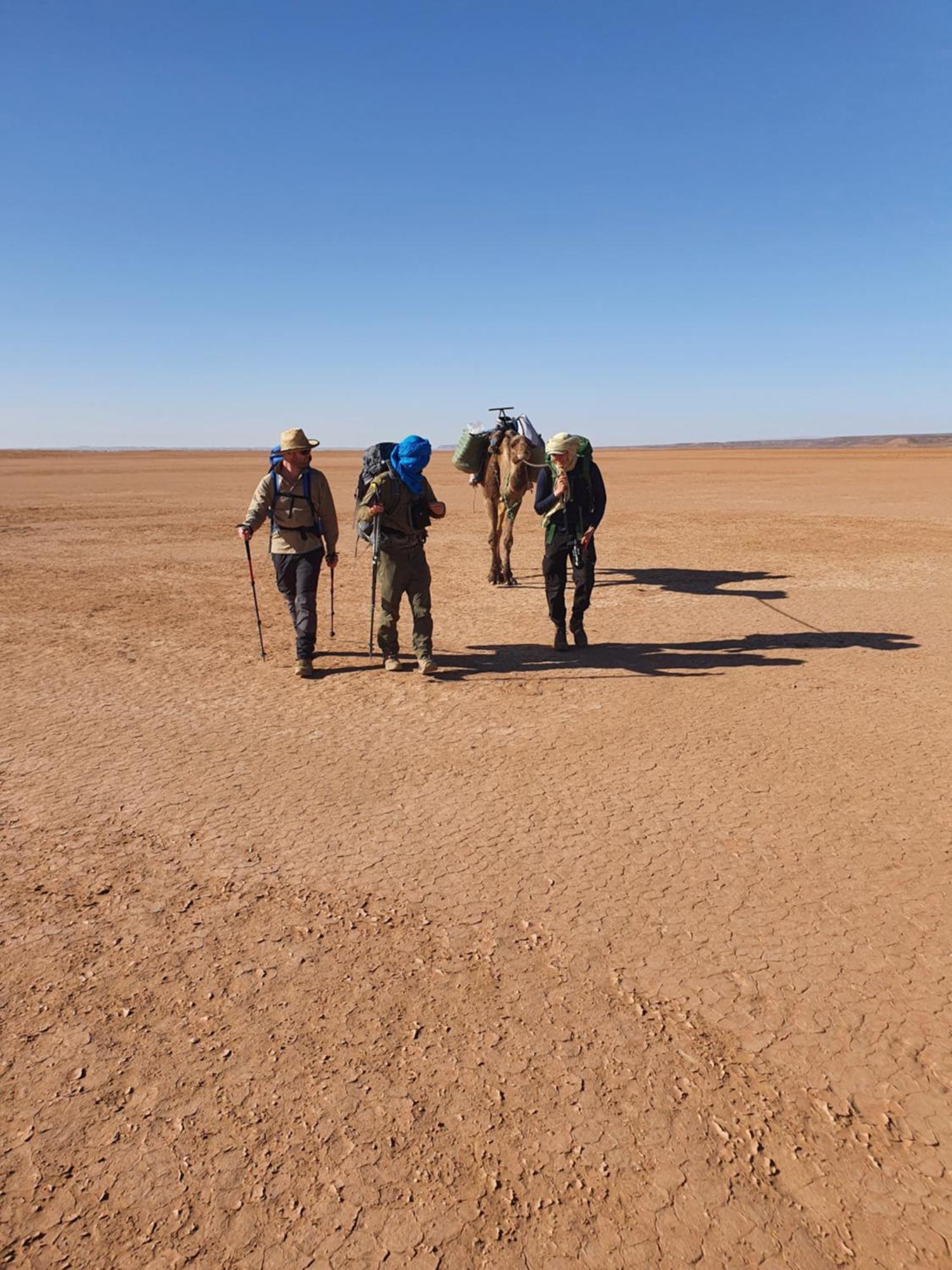 Bivouac Les Nomades & Foum Zguid To Chegaga Tours Hotel Eksteriør billede