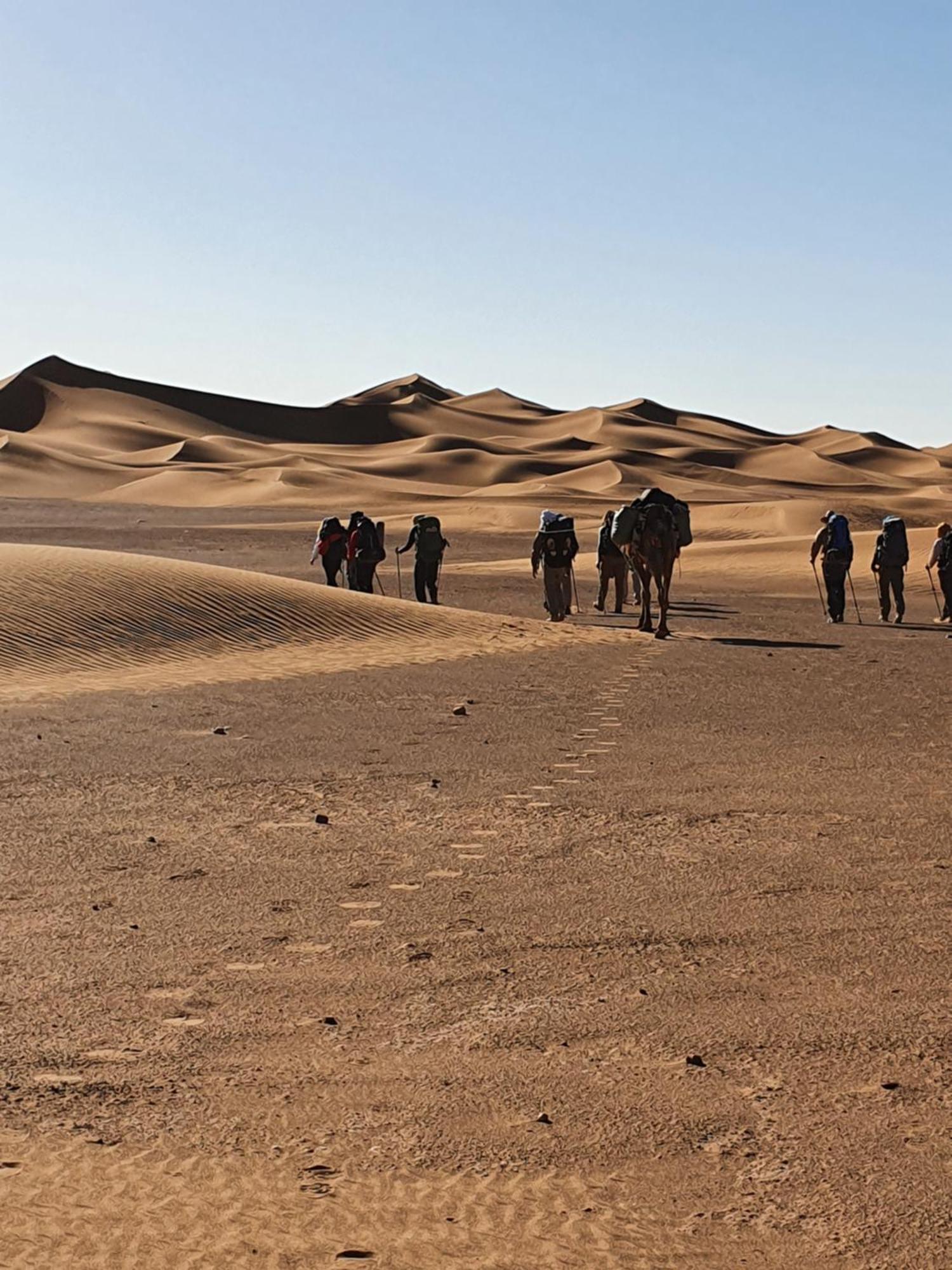 Bivouac Les Nomades & Foum Zguid To Chegaga Tours Hotel Eksteriør billede